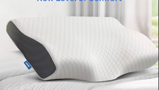 Derila Ergo Pillow Reviews